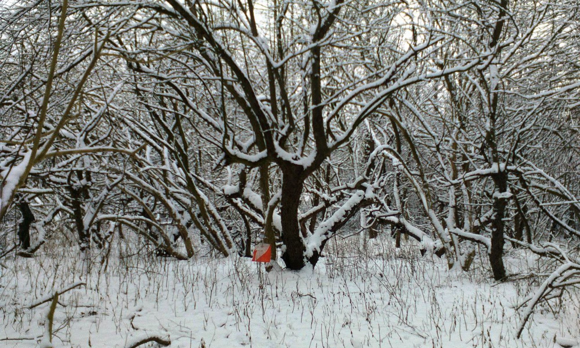 Vinter og Nat Cup på Fyn